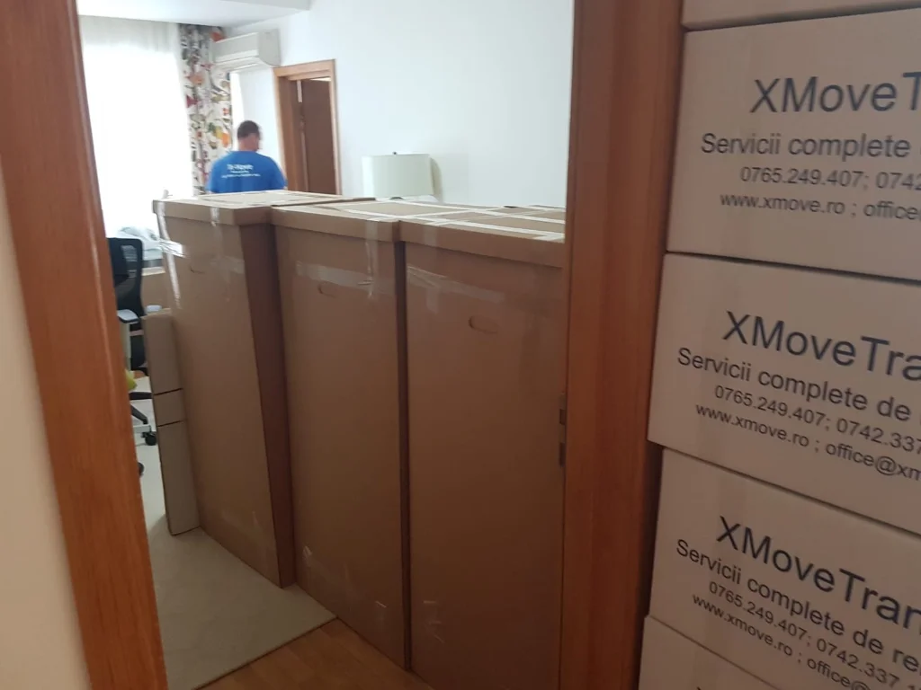 Servicii profesionale mutari